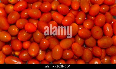 tomates cerises pour le fond, tomates cerises pour le papier peint, tomates cerises rouges. Banque D'Images