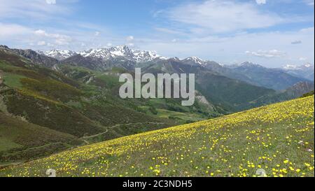 Paysage de montagnes couvertes de verdure et de neige sous le lumière du soleil - parfait pour les fonds d'écran Banque D'Images