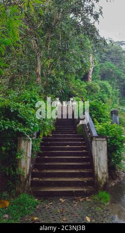 Escaliers vers la cascade de Kathu dans la belle forêt tropicale de Kathu, Phuket, Thaïlande Banque D'Images