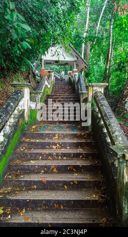 Escaliers vers la cascade de Kathu dans la belle forêt tropicale de Kathu, Phuket, Thaïlande Banque D'Images