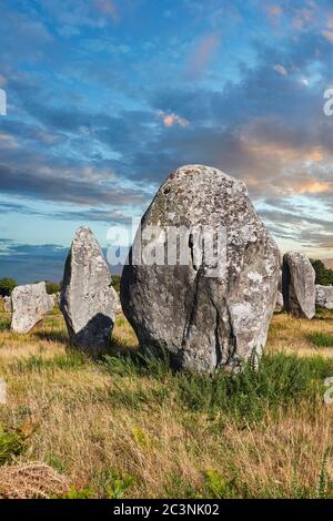 Vue sur les pierres noilthiques sur pied de Carnac monaliths, un site pré-celtique de pierres sur pied utilisé de 4500 à 2000 av. J.-C., Carnac est célèbre comme le site de Mo Banque D'Images