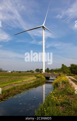 Éolienne blanche à côté de l'eau entourée d'arbres et l'herbe Banque D'Images