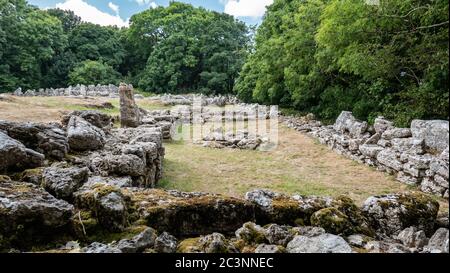 Les ruines de DIN Lligwy un groupe de huttes anciennes près de Moelfre Anglesey pays de Galles UK Banque D'Images