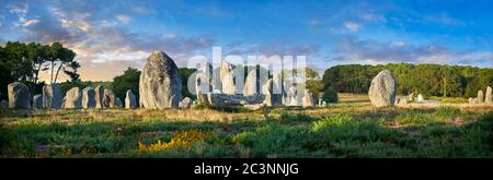 Vue des monolithes de pierres sur pied néolithiques de Carnac, alignements du Kermario, un site préceltique de pierres sur pied , 4500 à 2000 av. J.-C., Banque D'Images