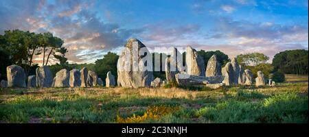 Vue des monolithes de pierres sur pied néolithiques de Carnac, alignements du Kermario, un site préceltique de pierres sur pied , 4500 à 2000 av. J.-C., Banque D'Images