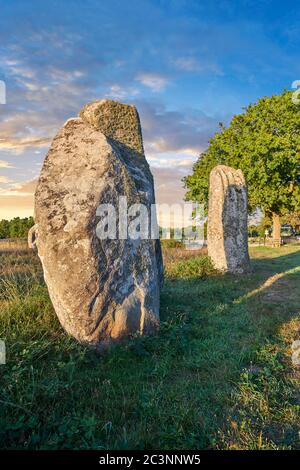 Vue de Carnac netic monalithes de pierres debout, alignements du Kermario, un site pré-celtique de pierres debout utilisées de 4500 à 2000 av. J.-C., Carnac is Banque D'Images