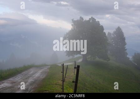 Paysage de montagne peu après la pluie de printemps. Alpes slovènes. Forest Road, arbres vénérés, brouillard, nuages et pics. Le village de Jamnik Slovénie. Banque D'Images