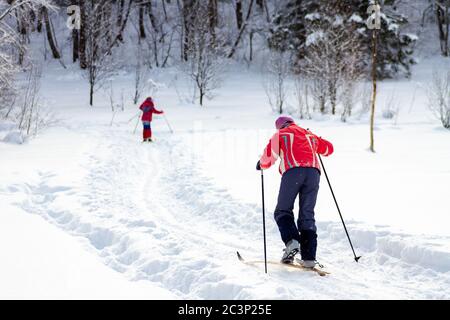 Les gens skier dans la forêt par une journée ensoleillée, vue de l'arrière. Un mode de vie sain. Banque D'Images