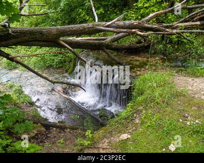 Vieux arbre tombé sur une petite cascade, photo longue exposition Banque D'Images