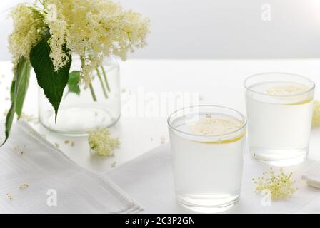 Verres de limonade aux fleurs de sureau avec des tranches de citron sur fond blanc. Médecine alternative. Fleur.foyer sélectif, Banque D'Images