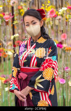 Femme japonaise portant un masque facial dans un kimono hakama devant un mur de fleurs Banque D'Images