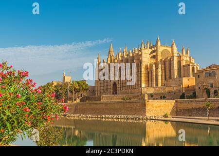 Belle vue sur la cathédrale Santa Maria de Palma ou la Seu avec des fleurs à Majorque, île de Majorque, Espagne par beau temps Banque D'Images