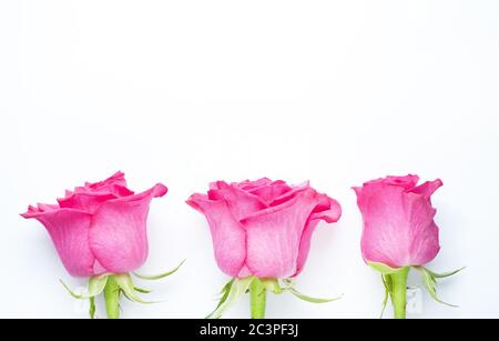 Beau bouquet de fleurs roses de couleur rose sur fond blanc. Copier l'espace pour le texte Banque D'Images