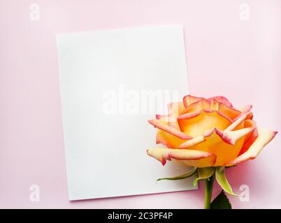 Une feuille de papier repose horizontalement sur du papier rose, une fleur rose jaune, vue du dessus, espace de copie. Concept Fête des mères, Fête de la famille, Saint-Valentin Banque D'Images