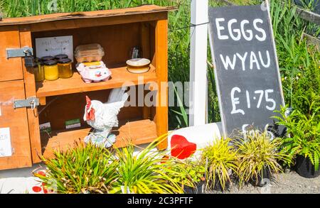 Œufs,volaille,poulets,miel,ferme,produits,a,vendre,en,toute,honnêteté,boîte,a,l,extérieur,petite,boutique,entreprise,entrepreneur,Ynyslas,Borth,Cardigan Bay,Ceredigion,rural,campagne,nord,d,Aberystwyth,Mid,West,Wales,Welsh,UK,GB,Great,Britain,British,Britain,UK,Vente,Oyard,Owny,Owny,Ownair,Own Banque D'Images