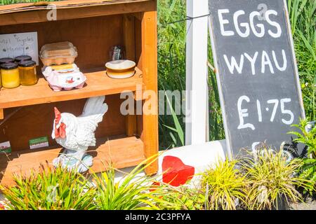 Œufs,volaille,poulets,miel,ferme,produits,a,vendre,en,toute,honnêteté,boîte,a,l,extérieur,petite,boutique,entreprise,entrepreneur,Ynyslas,Borth,Cardigan Bay,Ceredigion,rural,campagne,nord,d,Aberystwyth,Mid,West,Wales,Welsh,UK,GB,Great,Britain,British,Britain,UK,Vente,Oyard,Owny,Owny,Ownair,Own Banque D'Images