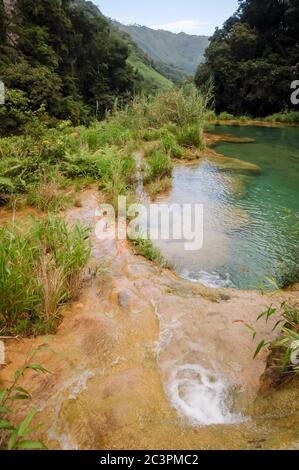 Semuc Champey en paysage, Lanquin, Guatemala, Amérique Centrale Banque D'Images