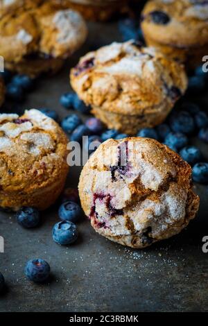 Des muffins aux bleuets Banque D'Images