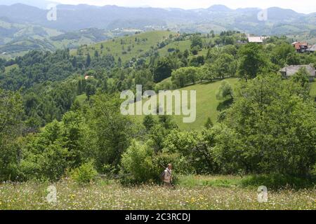 Brasov Comté, Roumanie. Homme local marchant dans un pâturage dans les montagnes. Banque D'Images