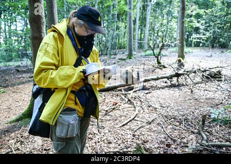 Salem, Allemagne. 18 juin 2020. La biologiste Brigitte Schlögl prend quelques notes après une série d'expériences. Le biologiste étudie le sens de l'odeur des singes barbares dans une étude scientifique sur l'Affenberg. (À dpa: "Quelle est cette odeur? Les chercheurs étudient le sens de l'odeur dans les macaques de Barbarie") Credit: Felix Kästle/dpa/Alay Live News Banque D'Images