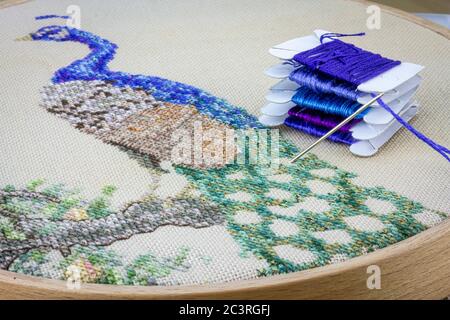 gros plan de la broderie paon tenue dans un cerceau à motif brodé avec des soies et des aiguilles à broderie, des travaux d'aiguille traditionnels à broderie à la main et des objets artisanaux au hom Banque D'Images