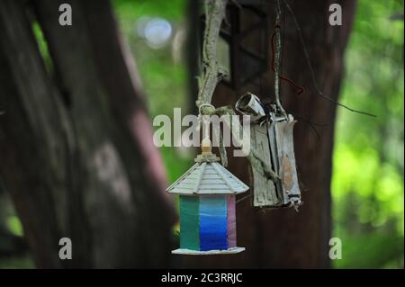 Nid de boîte d'oiseau en bois, posé sur l'arbre en forêt Banque D'Images