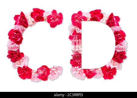 Police de fleurs alphabet C D ensemble (collection A-Z), fait de vraies fleurs de Carnation rose, rouge avec papier coupé en forme de lettre majuscule. Police florale Banque D'Images