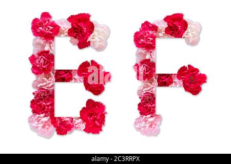 Police de fleurs alphabet E F ensemble (collection A-Z), fait de vraies fleurs de Carnation rose, rouge avec papier coupé en forme de lettre majuscule. Police florale Banque D'Images