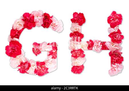 Police de fleurs alphabet G H ensemble (collection A-Z), fait de vraies fleurs de Carnation rose, rouge avec papier coupé en forme de lettre majuscule. Police florale Banque D'Images