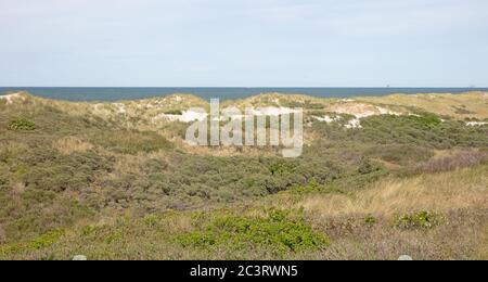 Dunes, mer du Nord et côte de la réserve naturelle de Waddensea à Ameland, pays-Bas Banque D'Images