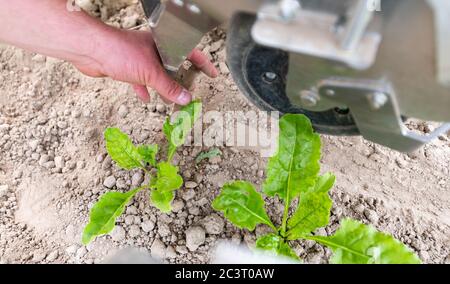 Oldendorf, Allemagne. 09e juin 2020. Sven Dittmer, un agriculteur employé par Biohöfe Oldendorf, vérifie les lames de broyage du robot. (À dpa 'le robot sur la ferme biologique - en cas de problèmes il écrit un SMS') Credit: Philipp Schulze/dpa/Alay Live News Banque D'Images