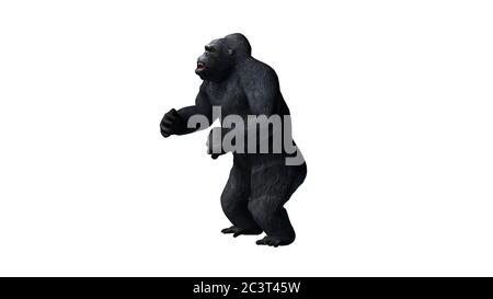 gorilla - isolé sur fond blanc Banque D'Images