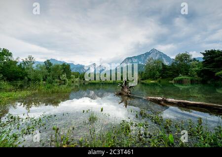 La vue panoramique sur le petit lac de Bordano en été, région Friuli Venezia Giulia, Italie Banque D'Images