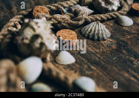 Plusieurs coquillages et corde d'amarrage sur fond en bois. Gros plan, sélection de la mise au point. Banque D'Images