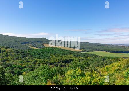 Paysage de colline avec forêt verte et champs de prairie sous ciel bleu, jour d'été ensoleillé. Scène de l'environnement de la nature, paysage horizontal Banque D'Images
