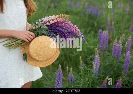 belle femme dans le champ lupin. Fille tenant un bouquet de lupins et chapeau. Heure d'été Banque D'Images