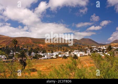 Haria, vallée des mille palmiers, Lanzarote Iles Canaries Espagne Banque D'Images