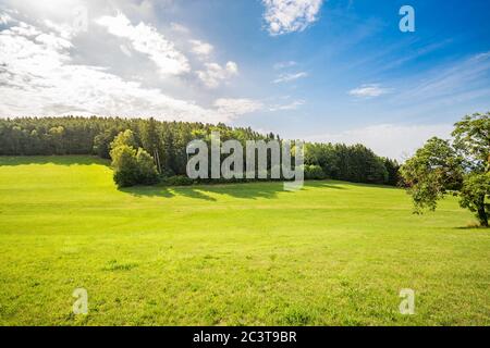 Vue panoramique sur les collines vallonnées idylliques avec des prairies fleuries et un arrière-plan de montagne alpine. Paysage d'été de printemps vert Banque D'Images