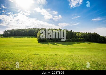 Vue panoramique sur les collines vallonnées idylliques avec des prairies fleuries et un arrière-plan de montagne alpine. Paysage d'été de printemps vert Banque D'Images