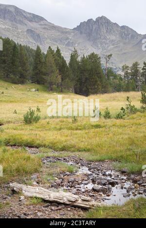 Benasque, Huesca/Espagne; 22 août 2017. Le parc naturel de Posets-Maladeta est un espace naturel protégé espagnol. Il comprend deux de la plus haute montagne Banque D'Images