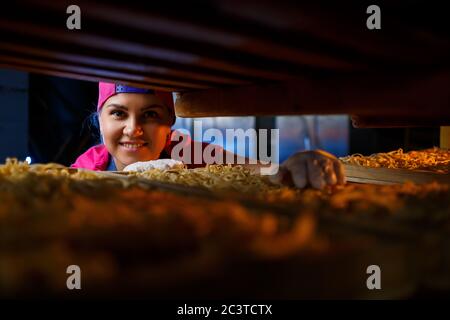 La fille travaille sur la production de spaghetti. Préparation de nouilles. Usine de pâtes. Banque D'Images