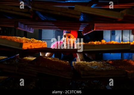 La fille travaille sur la production de spaghetti. Préparation de nouilles. Usine de pâtes. Banque D'Images