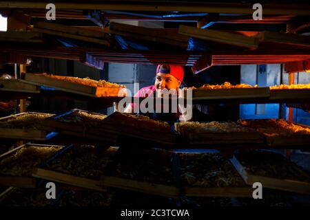 La fille travaille sur la production de spaghetti. Préparation de nouilles. Usine de pâtes. Banque D'Images