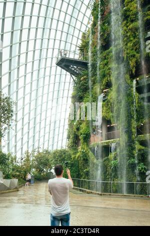 Vue intérieure avec chute d'eau. Conservatoires rafraîchissants, Gardens by the Bay, Singapour, Singapour. Architecte: Wilkinson Eyre Architects, 2011. Banque D'Images