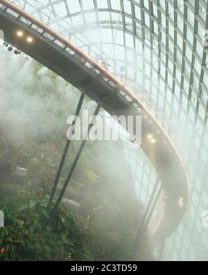 Vue de l'intérieur avec pulvérisation par brouillard activée. Conservatoires rafraîchissants, Gardens by the Bay, Singapour, Singapour. Architecte: Wilkinson Eyre Architects, 2011. Banque D'Images