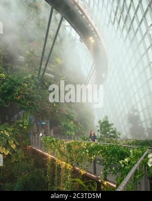 Vue de l'intérieur avec pulvérisation par brouillard activée. Conservatoires rafraîchissants, Gardens by the Bay, Singapour, Singapour. Architecte: Wilkinson Eyre Architects, 2011. Banque D'Images