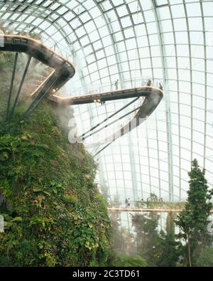 Vue de l'intérieur avec pulvérisation par brouillard activée. Conservatoires rafraîchissants, Gardens by the Bay, Singapour, Singapour. Architecte: Wilkinson Eyre Architects, 2011. Banque D'Images