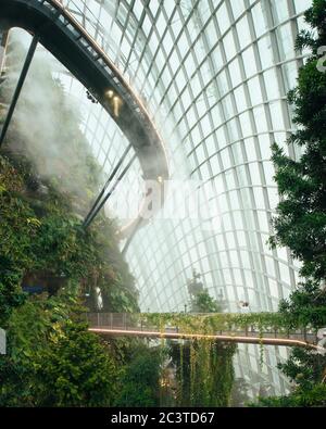 Vue de l'intérieur avec pulvérisation par brouillard activée. Conservatoires rafraîchissants, Gardens by the Bay, Singapour, Singapour. Architecte: Wilkinson Eyre Architects, 2011. Banque D'Images