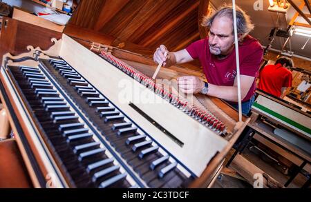 22 juin 2020, Mecklembourg-Poméranie occidentale, Rostock: Le fabricant d'instruments Johann-Gottfried Schmidt travaille sur une réplique d'un clavecin après Michael Mietke de 1710 du Palais Berlin-Charlottenburg dans l'atelier "instruments historiques de clavier - Johann-Gottfried Schmidt". Fondée en 2003, la société est principalement active dans la construction d'instruments de musique et emploie trois personnes. Dans la petite entreprise, les instruments tels que la poitrine et les petits organes, les clavecins, les spinettes, les virginals et les clavicordes écoles de construction allemandes et italiennes sont faits comme des pièces uniques. P Banque D'Images