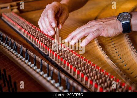 22 juin 2020, Mecklembourg-Poméranie occidentale, Rostock: Le fabricant d'instruments Johann-Gottfried Schmidt utilise le Springer dans l'atelier "instruments historiques de clavier - Johann-Gottfried Schmidt" pour reconstruire un clavecin. L'instrument a été construit selon les plans de Michael Mietke, qui l'a construit en 1710 pour le palais Berlin-Charlottenburg. Fondée en 2003, la société est principalement active dans la construction d'instruments de musique et emploie trois personnes. En petite compagnie, des instruments tels que le thorax et les petits organes, les clavecins, les spinettes, les virginale et les clavicordes du germe Banque D'Images